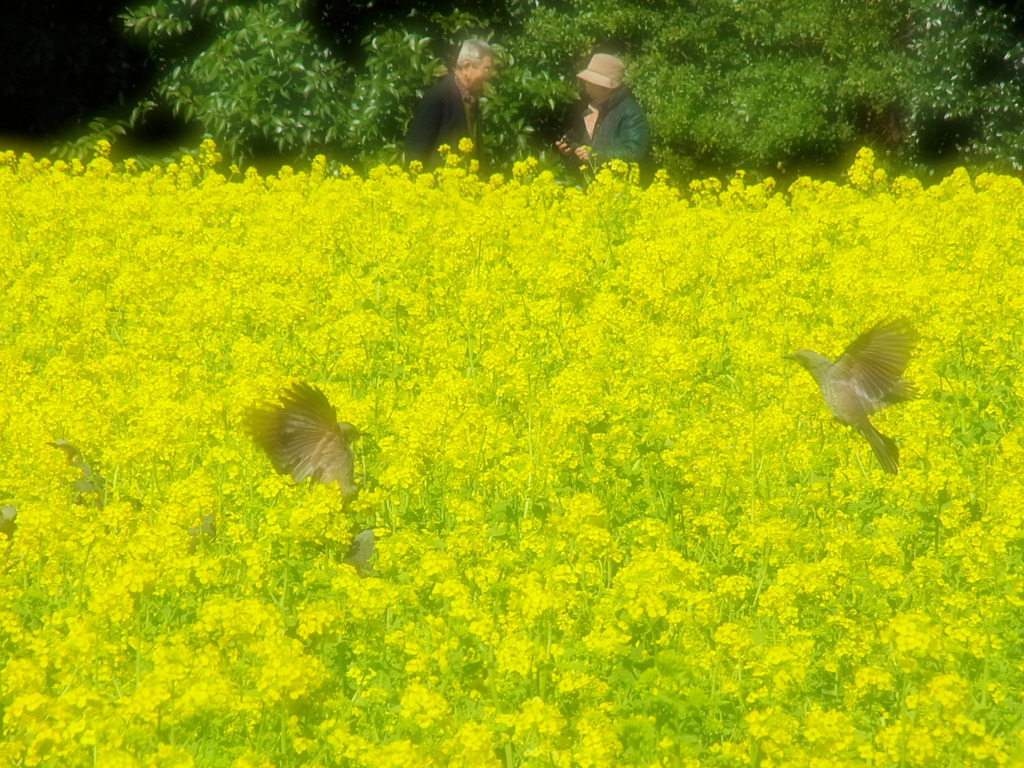 伝わる関係