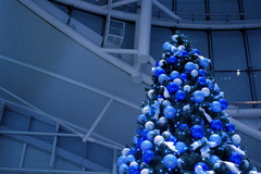 Tree in Blue