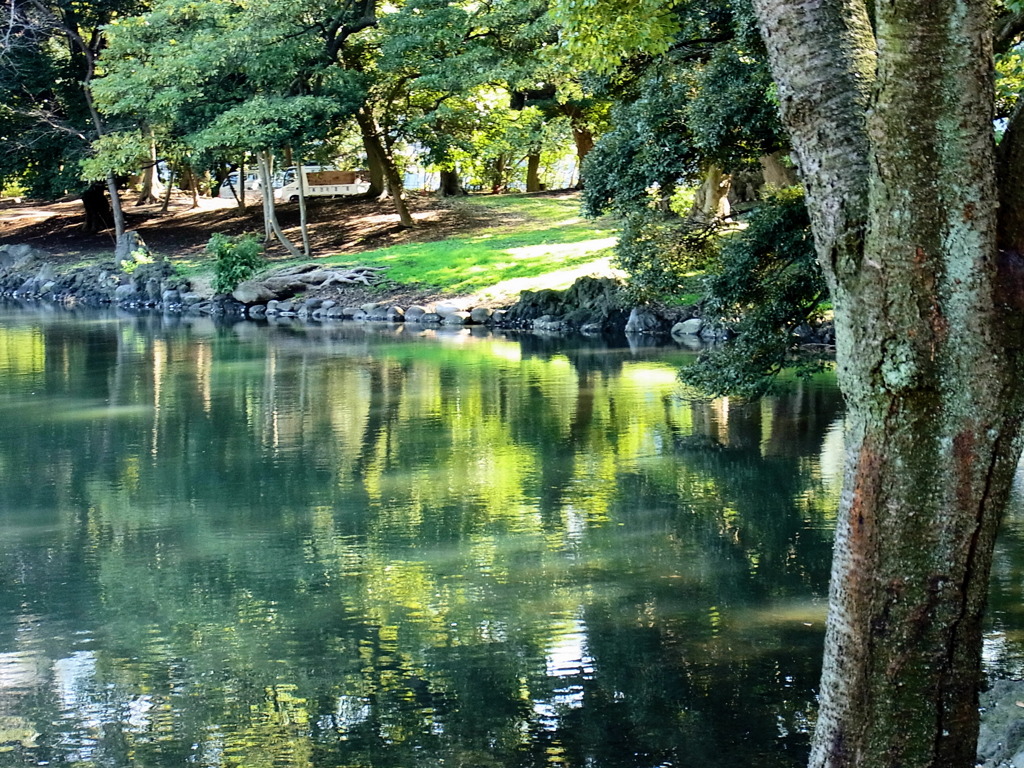 そよ風吹く木陰