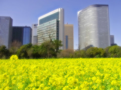 OASIS