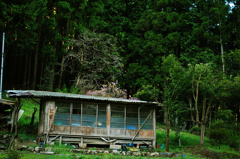 斜面の廃屋
