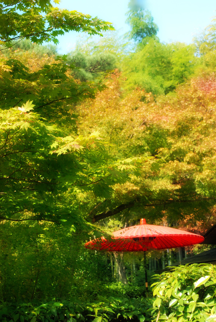 日本庭園