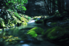 The murmur of a creek