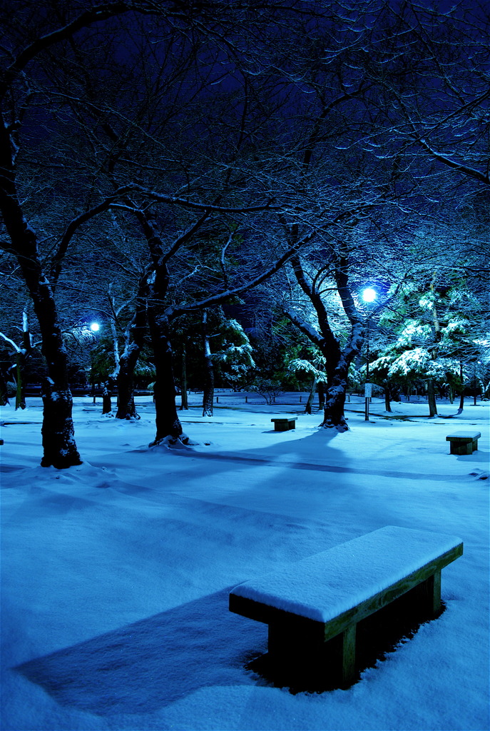 雪の腰掛け