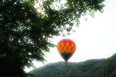 子供フェスティバル