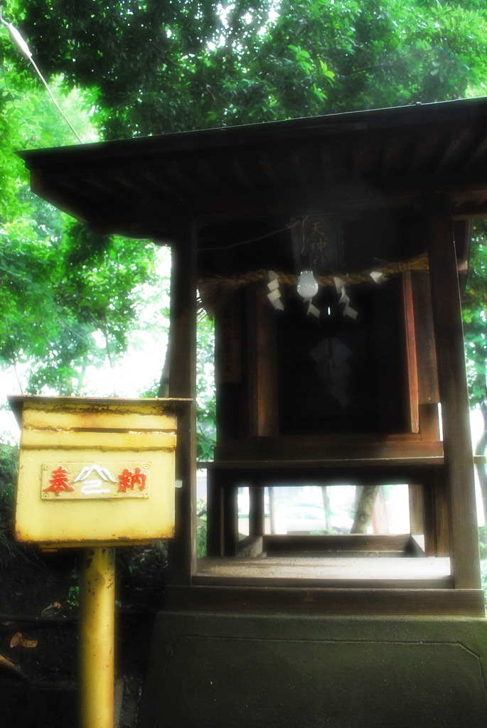 湿った朝の光をあびて