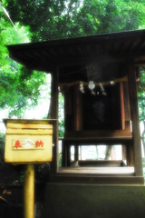 湿った朝の光をあびて