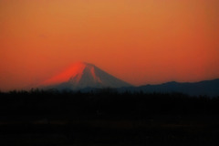 埼玉から赤富士