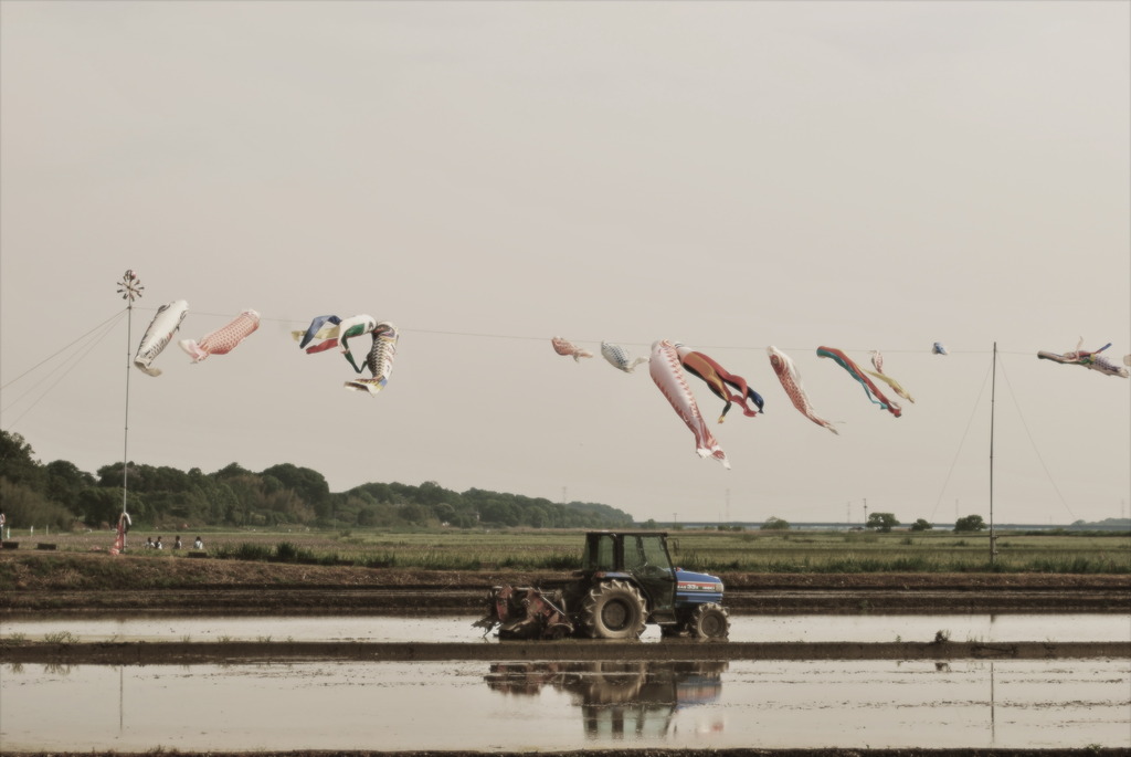 色あせた写真のように