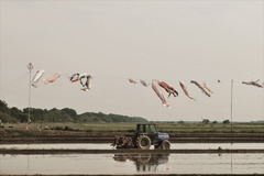 色あせた写真のように