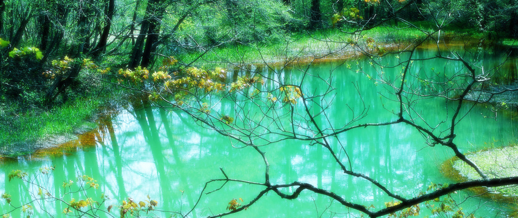 Natural Color