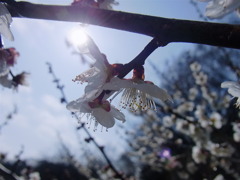 雨があがった！