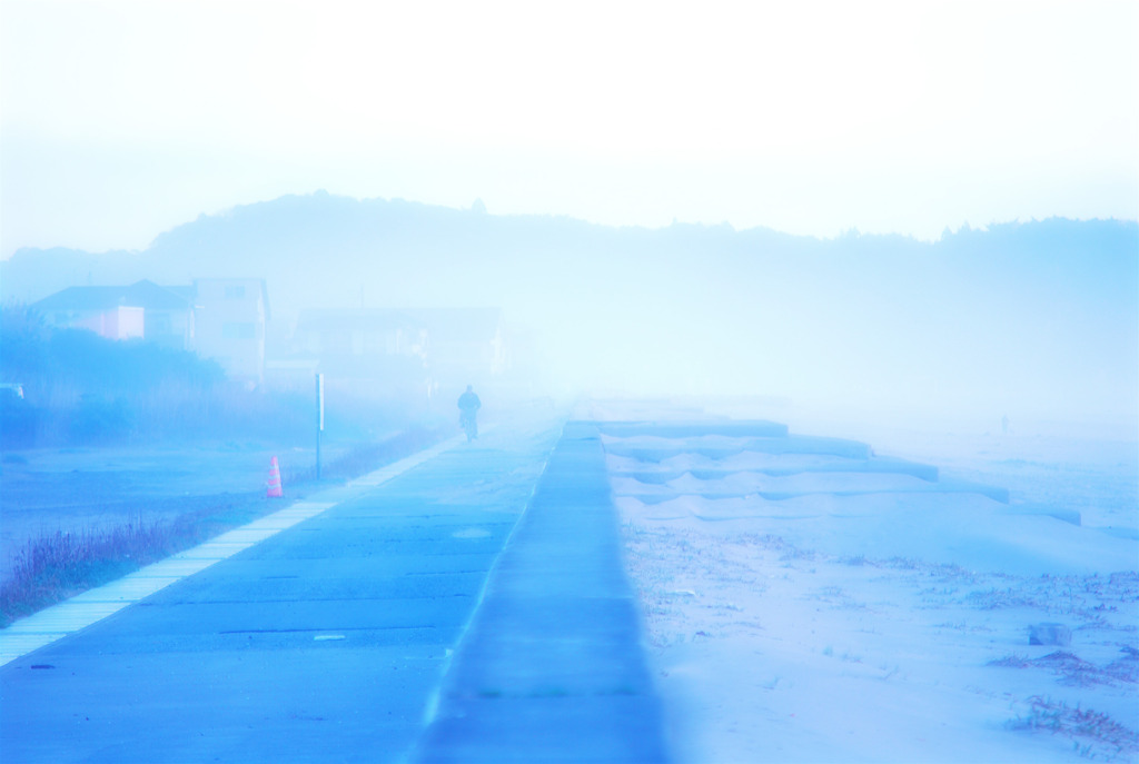朝の散歩