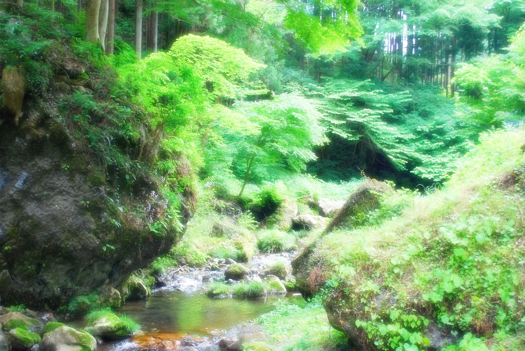 渓谷