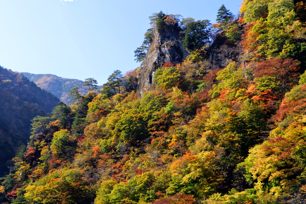 中津峡（奥秩父）の紅葉