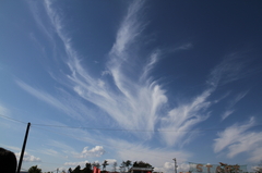 弘楽園の空