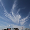 弘楽園の空