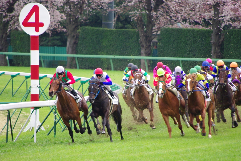 春の中山競馬場