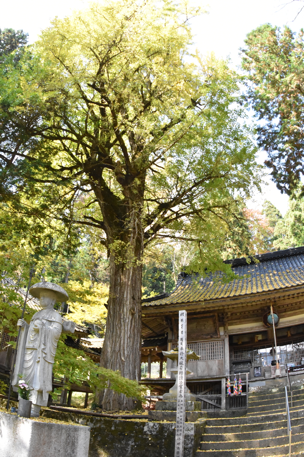 但馬國　小佐の郷　石原　日光院①