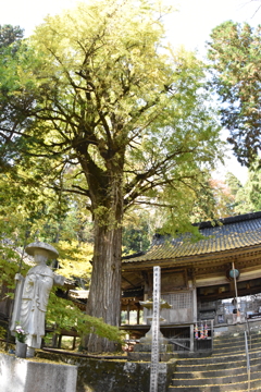 但馬國　小佐の郷　石原　日光院①
