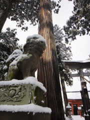 但馬國　出石藩　出石神社　初詣