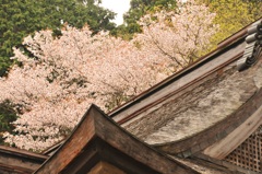 但馬國 八鹿小佐の郷 名草神社④