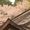 但馬國 八鹿小佐の郷 名草神社④