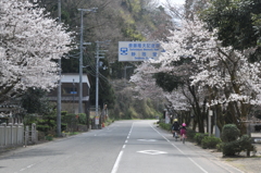 但馬國　出石藩　中村の春