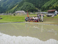 但馬國　小佐の郷　赤米田植え⑤