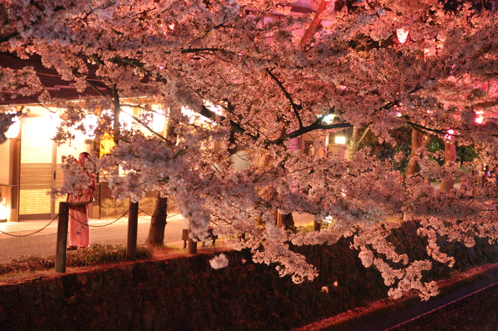 但馬國　城崎温泉　木屋町③