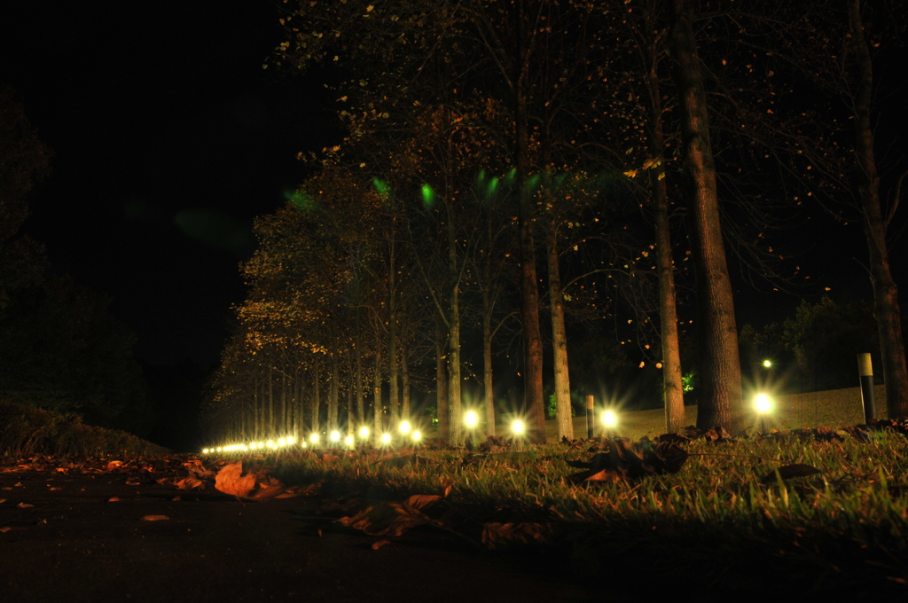 但馬國　植村直己公園　②