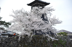 但馬國　出石藩　辰鼓楼（しんころう）