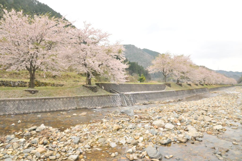 但馬國 出石藩 奥山川沿い