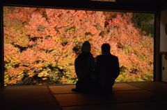 但馬国　出石藩　但東町　安國寺　ドウダンツツジ　と　二人