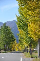 但馬國　神鍋高原　中央駐車場付近①