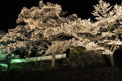 但馬國　小佐の郷　洞仙寺　寒い夜