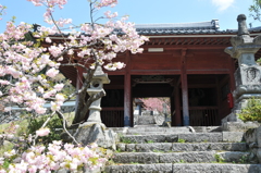 福知山　威光寺