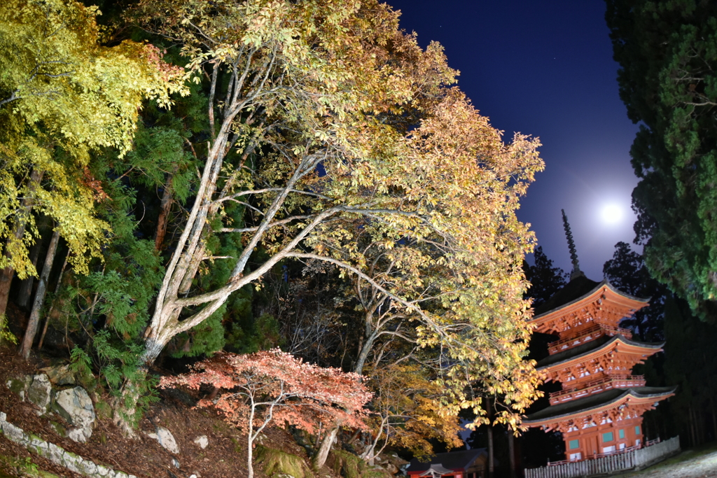 但馬國　小佐の郷　名草神社　三重の塔　