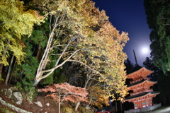 但馬國　小佐の郷　名草神社　三重の塔　