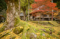 但馬國　小佐の郷　日光院