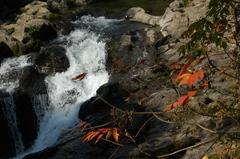 但馬國　十戸の滝