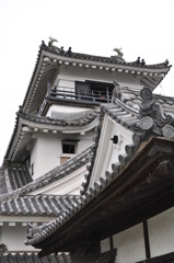 高知ぜよ！③高知城