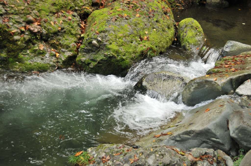 但馬國　阿瀬渓谷　②