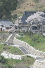 但馬國　龍蔵寺