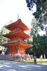 但馬國　小佐の郷　妙見山　名草神社　三重塔