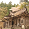 但馬國 八鹿小佐の郷 名草神社 桜②