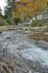 但馬國　出石藩　秋　奥山へ①