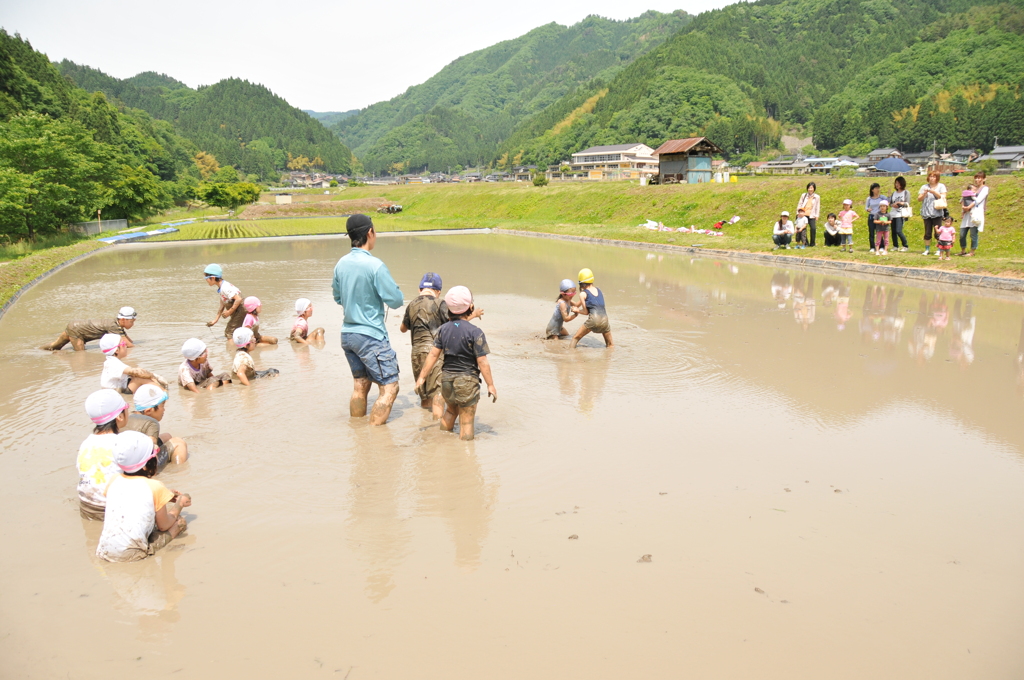 但馬國　小佐の郷　田んぼの学校