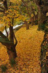 但馬國　出石藩　