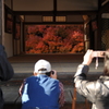 但馬國　但東町安国寺